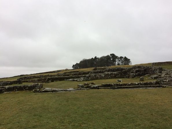 Housesteads on the hill