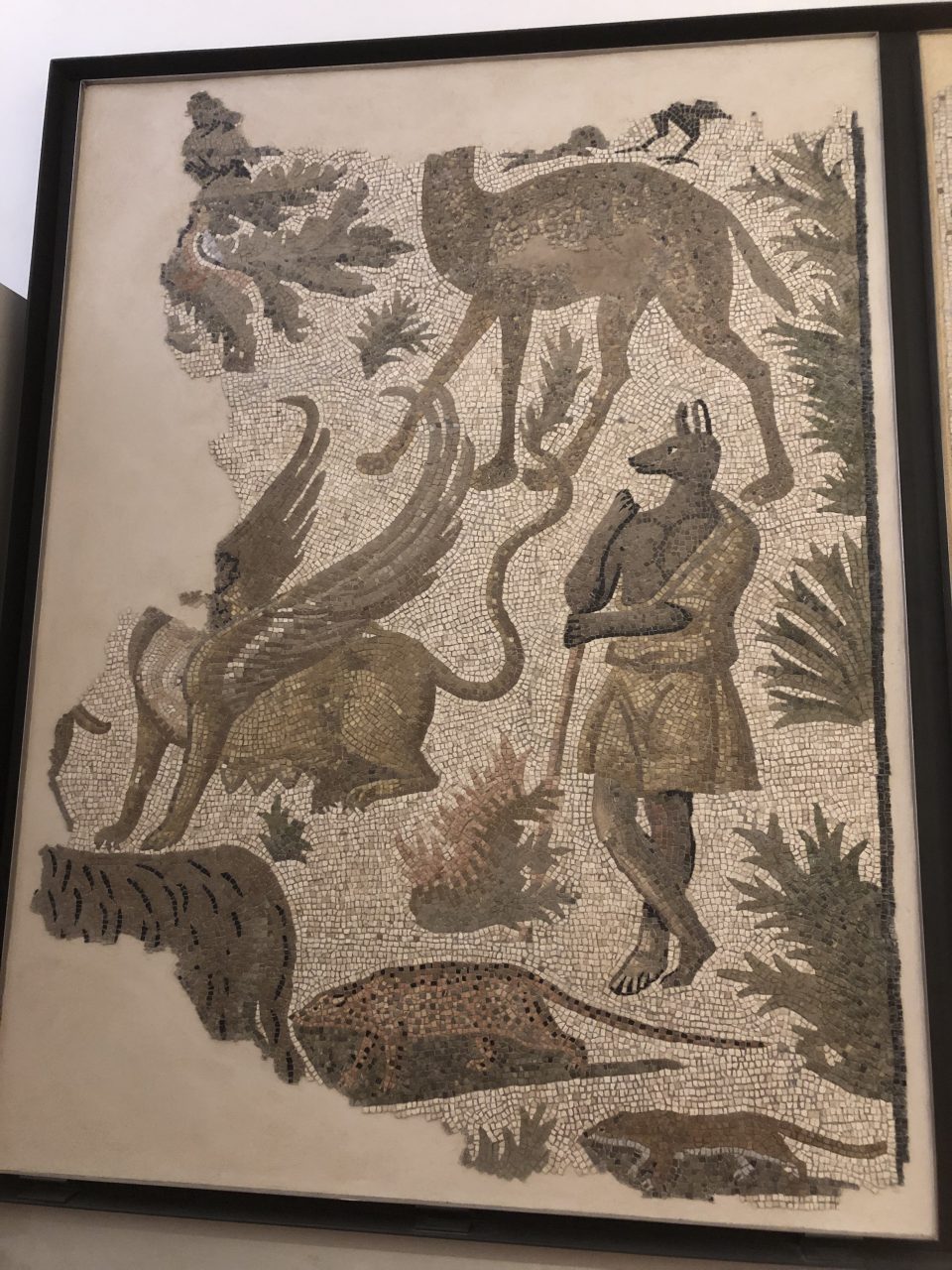 Roman mosaics depicting animals