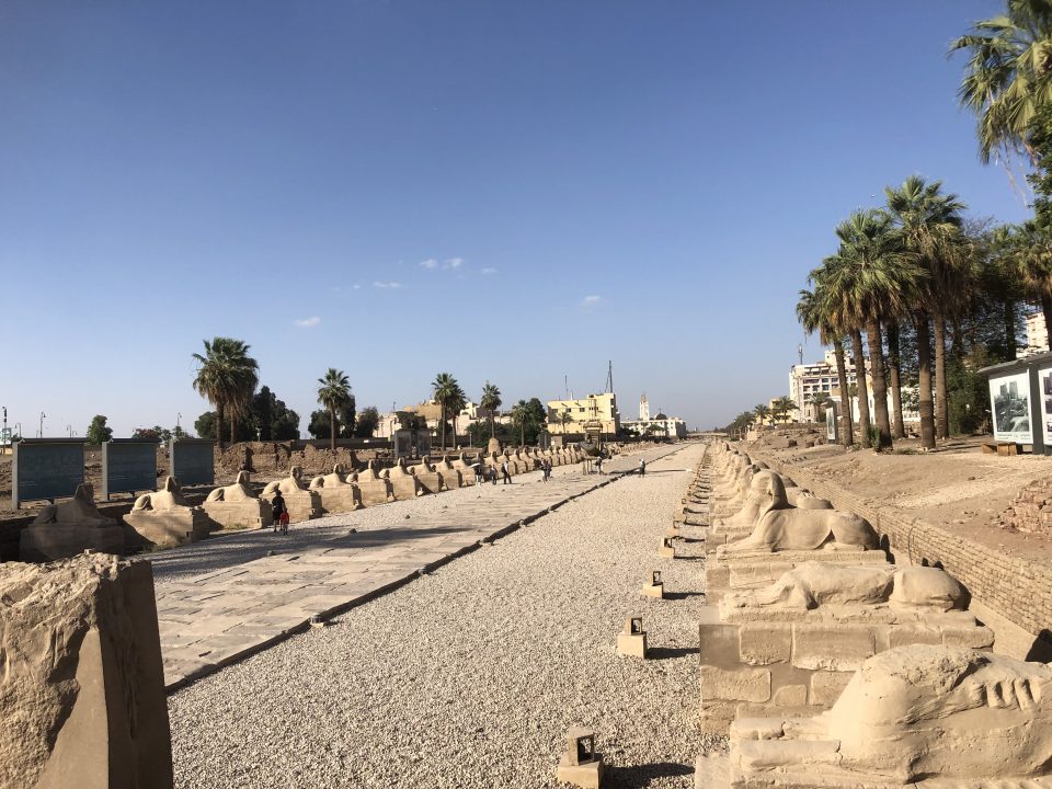 The avenue of Sphinxes