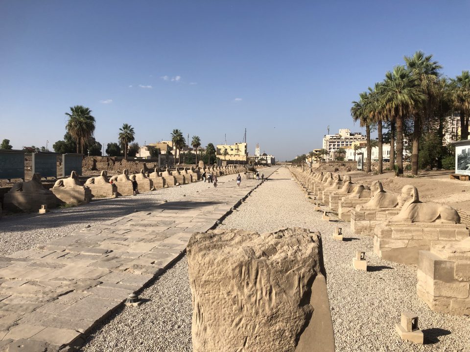The avenue of Sphinxes