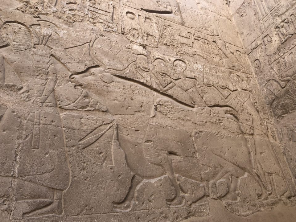 Luxor Temple carving