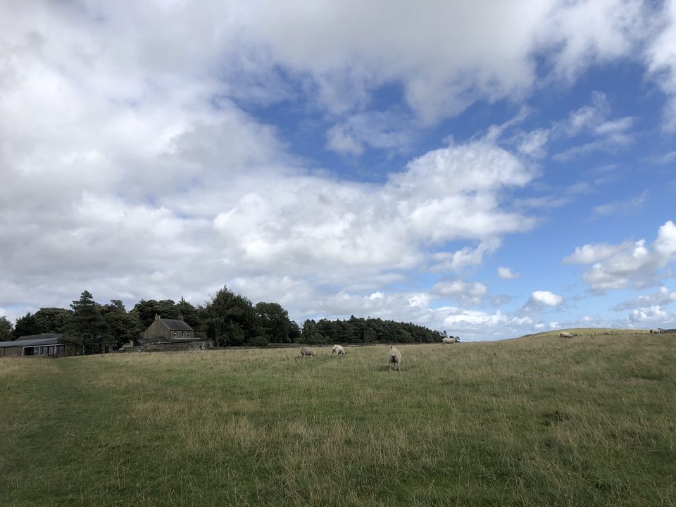 View of farmland from Magna Roman Fort