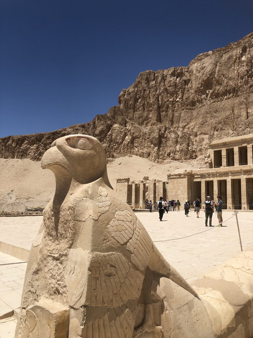 Amun-Ra the Falcon God - Hatshepsut temple