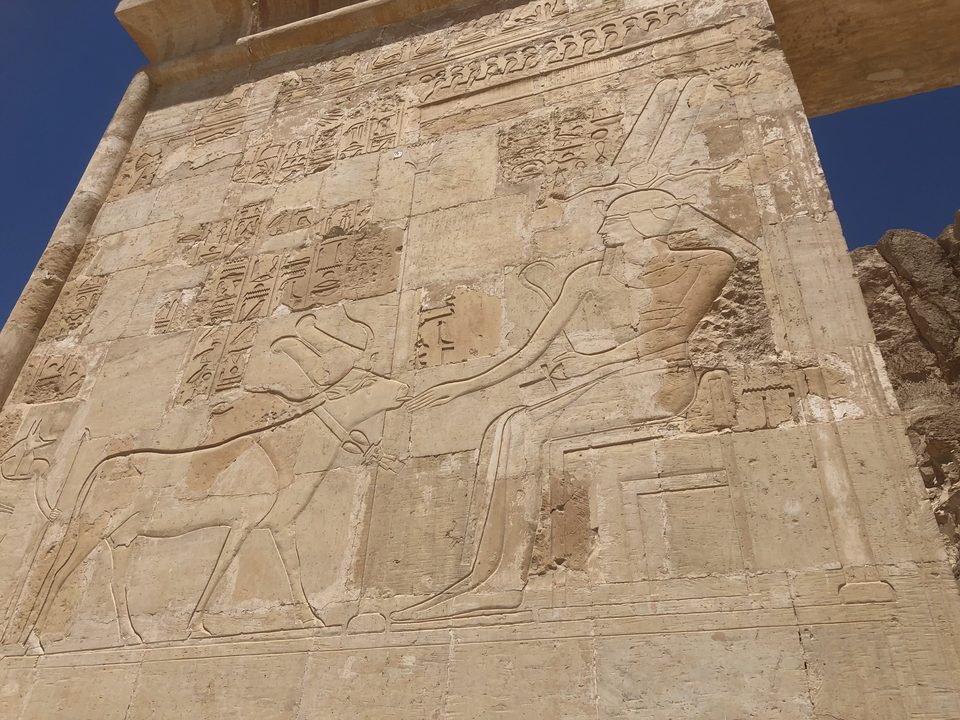 One of the carvings at Hatshepsut temple
